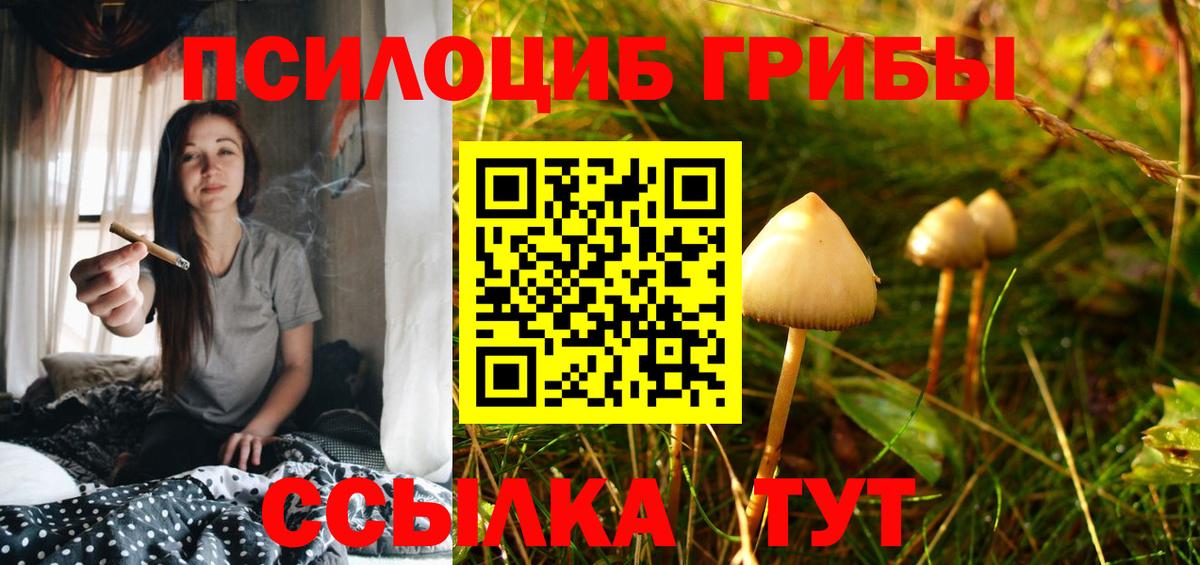 Ачинск  Псилоцибиновые грибы прущие грибы  Вход с VPN  магазин  наркотиков  Псилоцибиновые грибы Psilocybe 