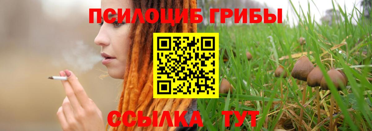 Псилоцибиновые грибы Magic Shrooms Ачинск